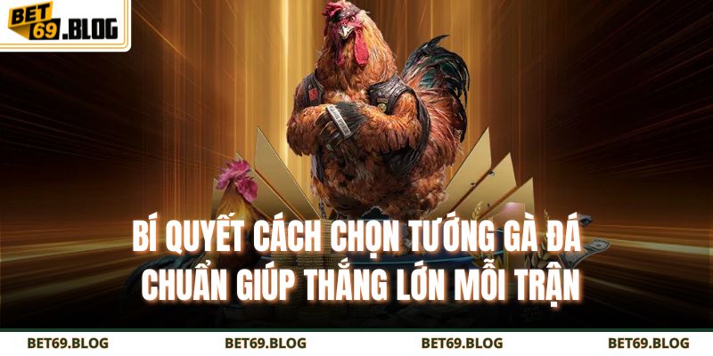 Bí Quyết Cách Chọn Tướng Gà Đá Chuẩn Giúp Thắng Lớn Mỗi Trận 3 cách chọn tướng gà đá