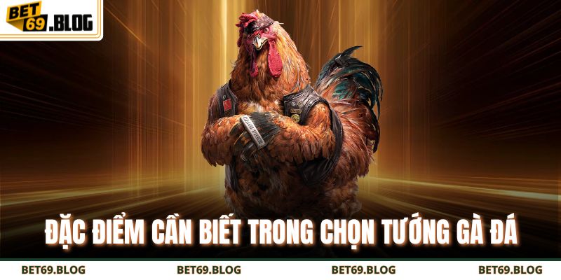 Bí Quyết Cách Chọn Tướng Gà Đá Chuẩn Giúp Thắng Lớn Mỗi Trận 3 Đặc điểm cần biết trong chọn tướng gà đá