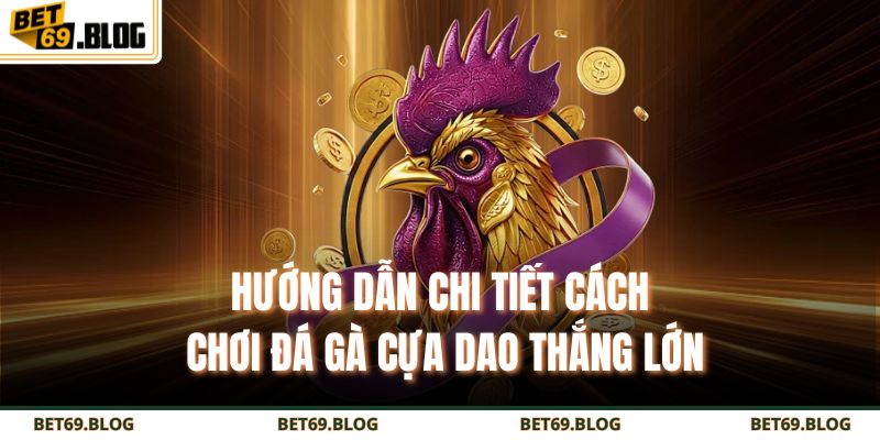 Hướng Dẫn Chi Tiết Cách Chơi Đá Gà Cựa Dao Thắng Lớn 8 Đá gà cựa dao