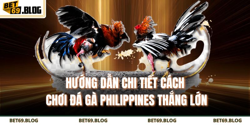 Hướng Dẫn Chi Tiết Cách Chơi Đá Gà Philippines Thắng Lớn 1 Đá gà Philippines