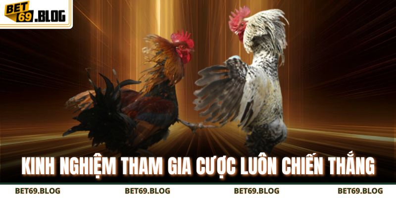 Hướng Dẫn Chi Tiết Cách Chơi Đá Gà Philippines Thắng Lớn 4 Kinh nghiệm tham gia cược luôn chiến thắng