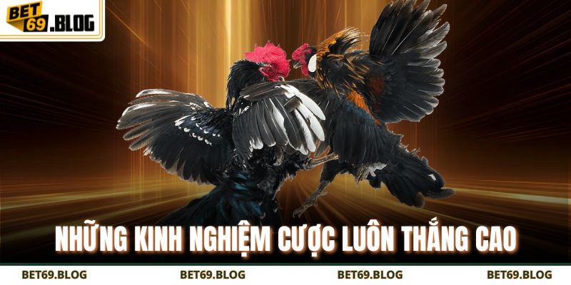 Đá Gà Cựa Sắt Bet69 – Đấu Trường Đỉnh Cao, Thắng Lớn Mỗi Ngày 4 Những kinh nghiệm cược luôn thắng cao