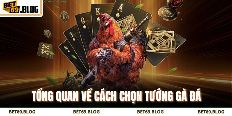 Bí Quyết Cách Chọn Tướng Gà Đá Chuẩn Giúp Thắng Lớn Mỗi Trận 2 Tổng quan về cách chọn tướng gà đá