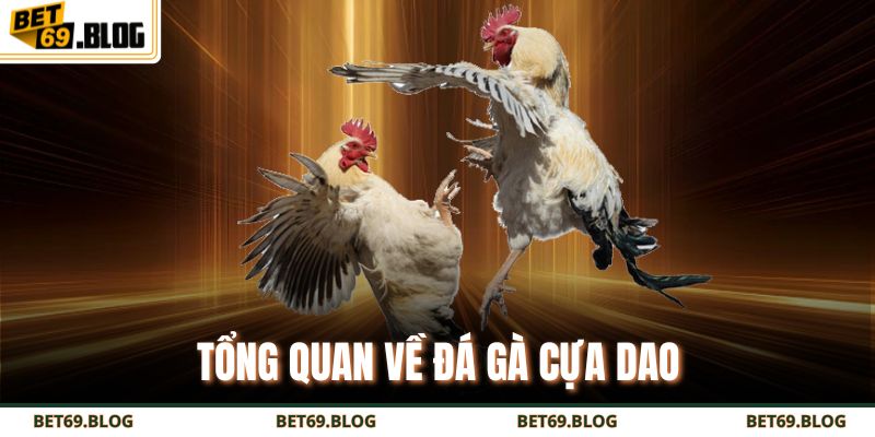 Hướng Dẫn Chi Tiết Cách Chơi Đá Gà Cựa Dao Thắng Lớn 2 Tổng quan về đá gà cựa dao