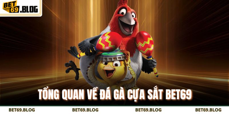 Đá Gà Cựa Sắt Bet69 – Đấu Trường Đỉnh Cao, Thắng Lớn Mỗi Ngày 2 Tổng quan về đá gà cựa sắt BET69