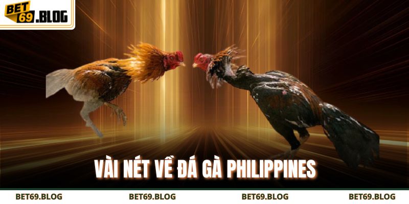 Hướng Dẫn Chi Tiết Cách Chơi Đá Gà Philippines Thắng Lớn 2 Vài nét về đá gà Philippines